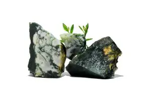 Tree Agate: The Ultimate Guide to Meaning, Properties, Uses