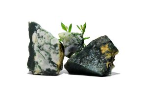 Tree Agate: The Only Guide You Need