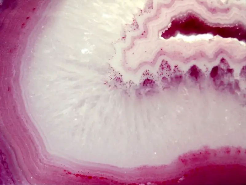 Botswana Agate Micro Detail