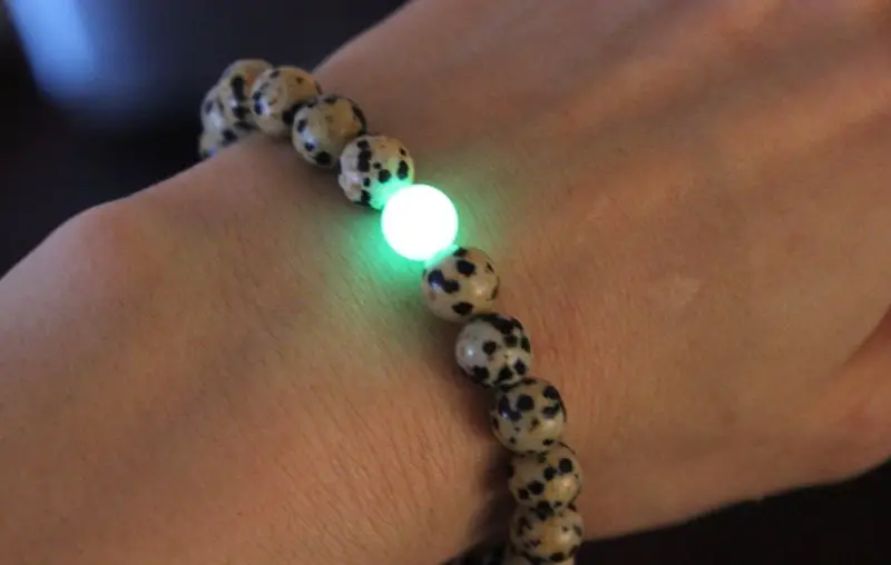 Dalmatian Jasper and Ye Ming Zhu Bracelet