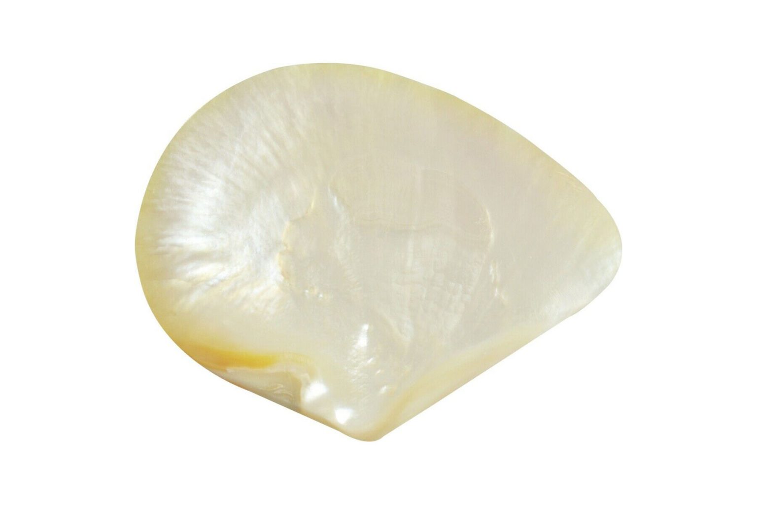 Mother of Pearl The Only Guide You Need Gemstonist