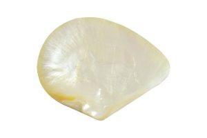 Mother of Pearl: The Only Guide You Need