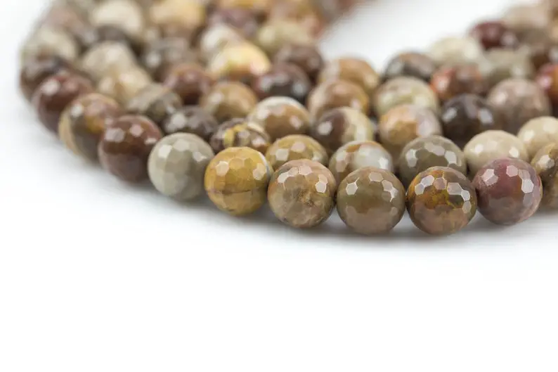 Petrified Wood Beads