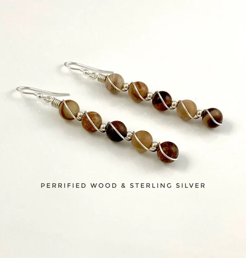 Petrified Wood Earrings